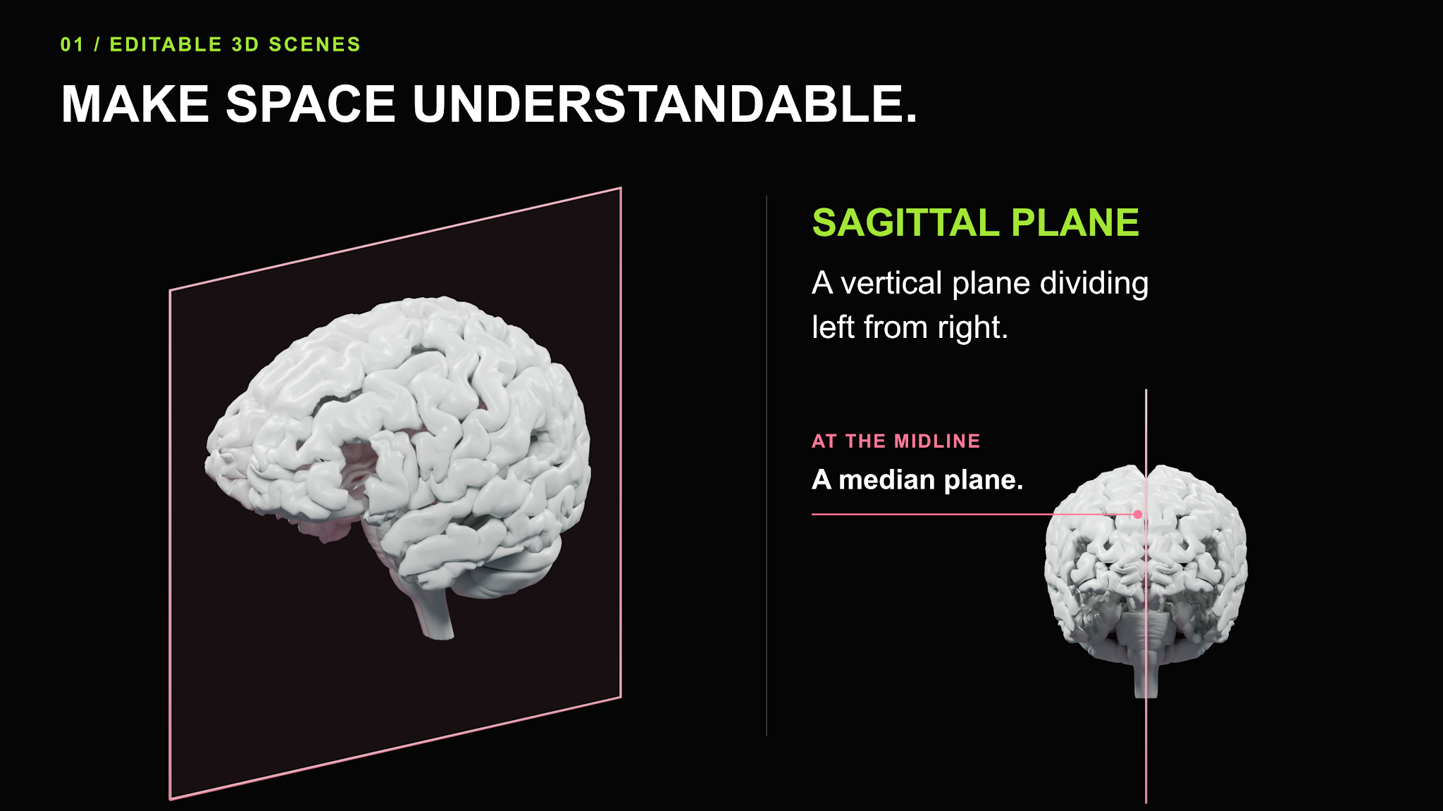 A 3D brain rendered twice: an angled view beside a highlighted sagittal plane, and a front view with the median plane marked at the midline.
